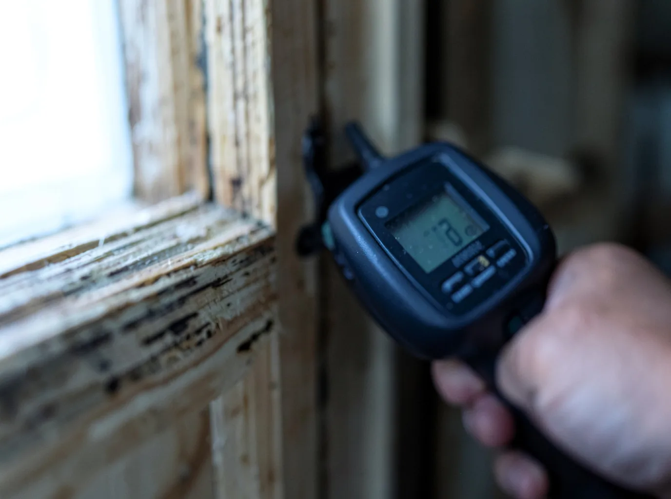 Moisture Inspection And Documentation in Homewood, CA